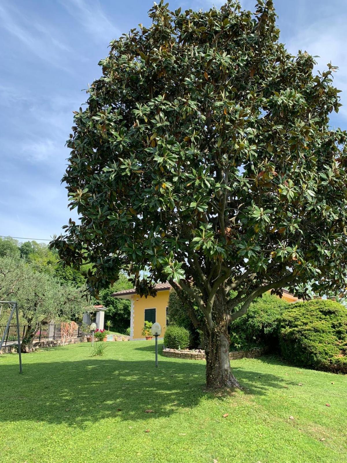 Poli Villa'S Apartment Bardolino Esterno foto